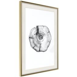 Arkiio Affisch Wood Slice [Poster] 20x30 Poster